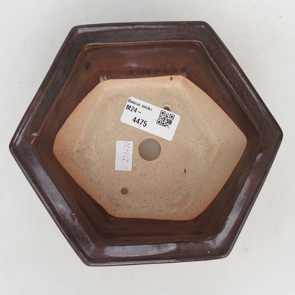 Keramik-Bonsaischale 17 x 15 x 6 cm, braun Farbe