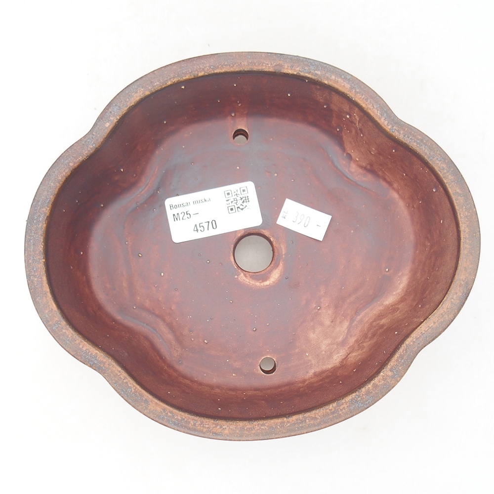 Keramik-Bonsaischale 17 x 15,5 x 5,5 cm, Farbe braun