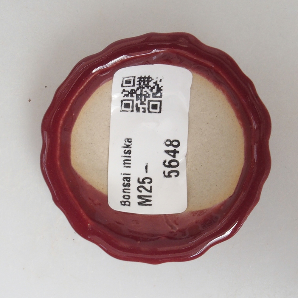 Mini-Bonsaischale 5 x 5 x 1,5 cm, Farbe Burgunder