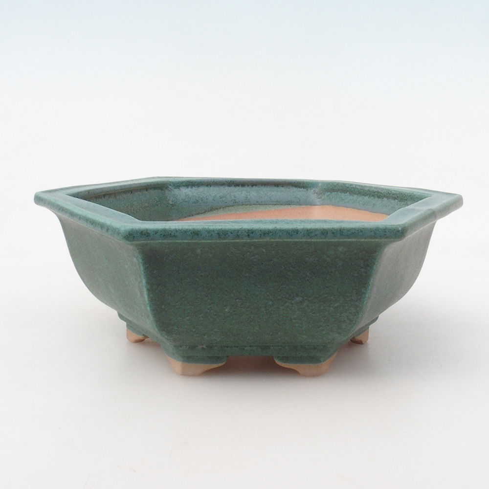 Bonsai-Schale H05 – 19 x 21,5 x 7 cm – grün