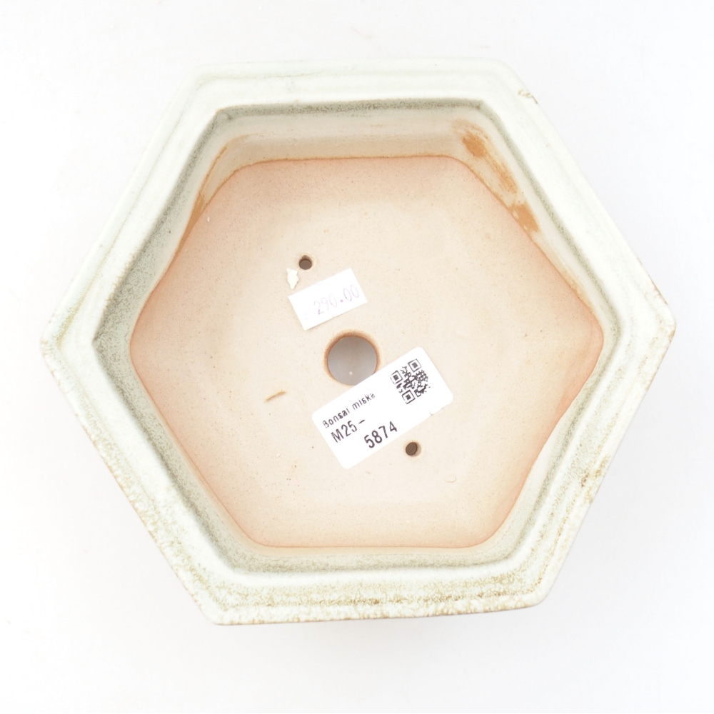 Keramik-Bonsaischale 17 x 15 x 6 cm, Farbe Grün