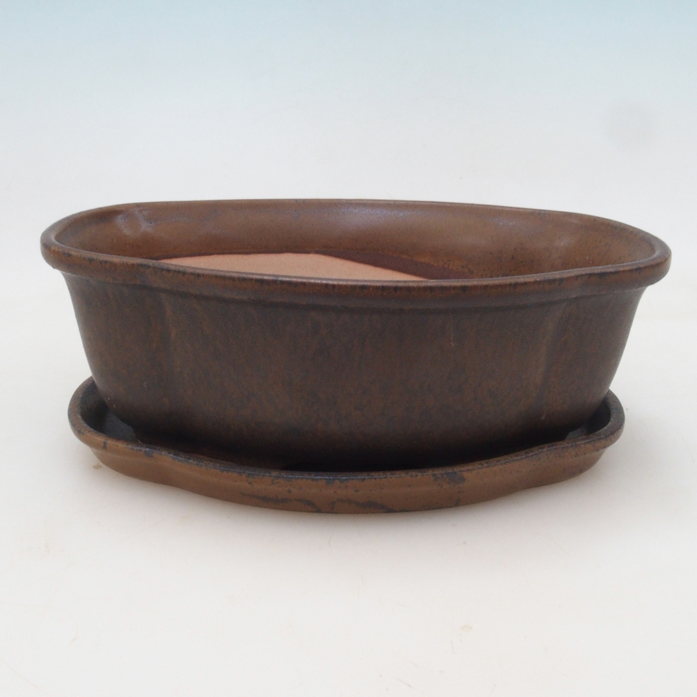 Bonsai-Schale + Untertasse H75 – Braun