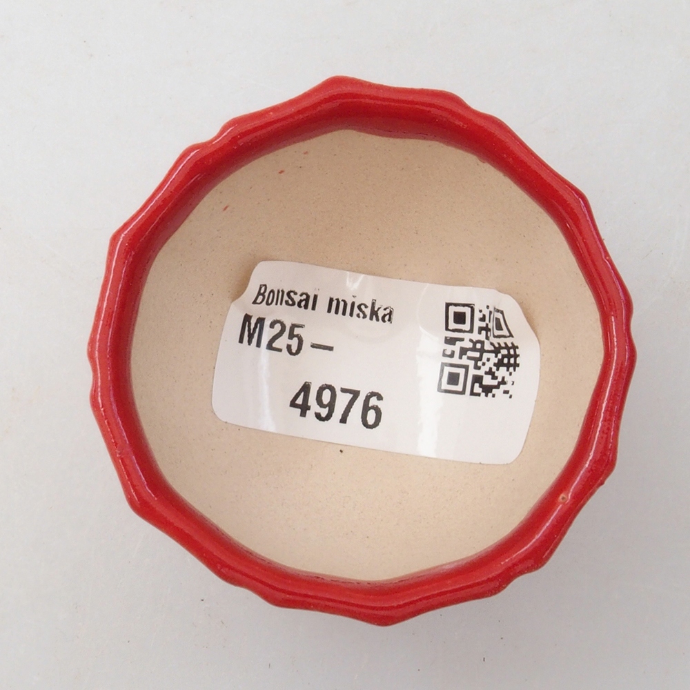 Mini-Bonsaischale 5 x 5 x 3 cm, Farbe rot