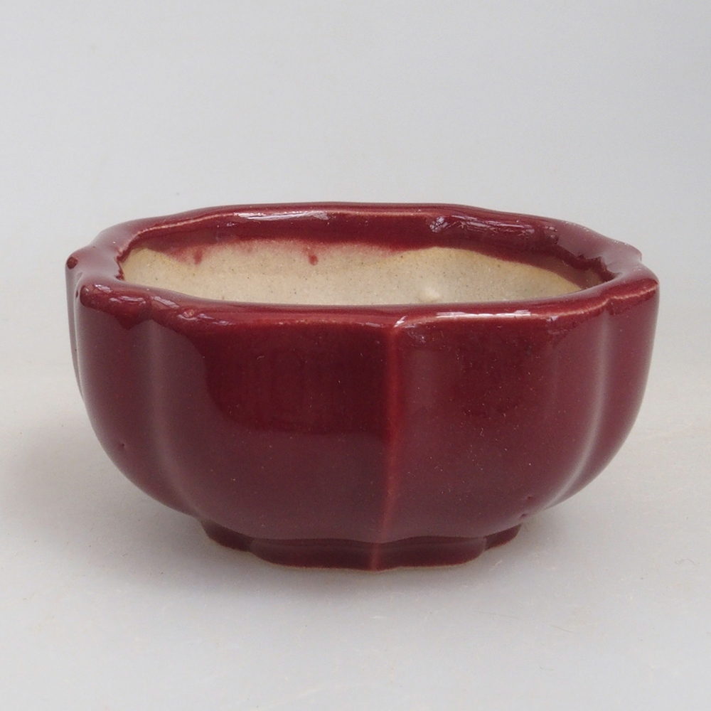 Mini-Bonsaischale 5,5 x 5,5 x 2,5 cm, Farbe Burgunder