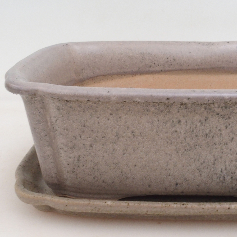 Bonsai-Schale + Schale H50 - beige