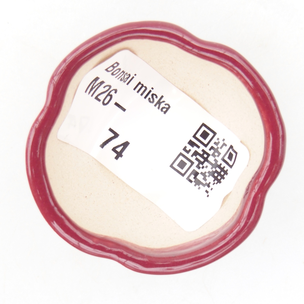 Mini-Bonsaischale 4 x 4 x 2 cm, bordeauxrot