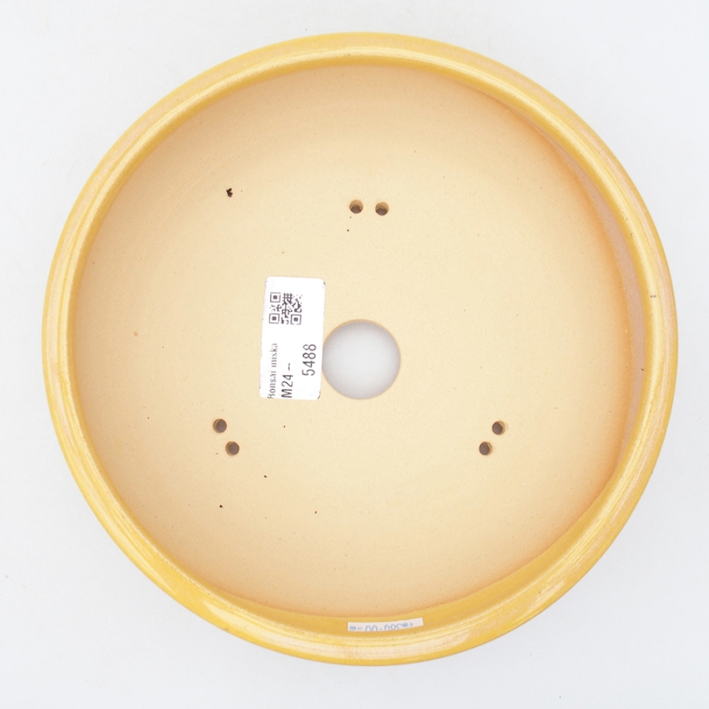 Keramik-Bonsaischale 18,5 x 18,5 x 6 cm, Farbe Gelb