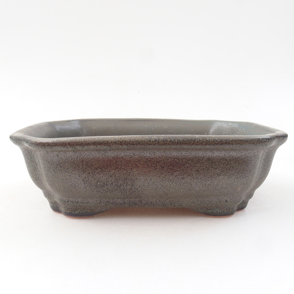 Keramik-Bonsaischale 16 x 12 x 5 cm, Farbe grau