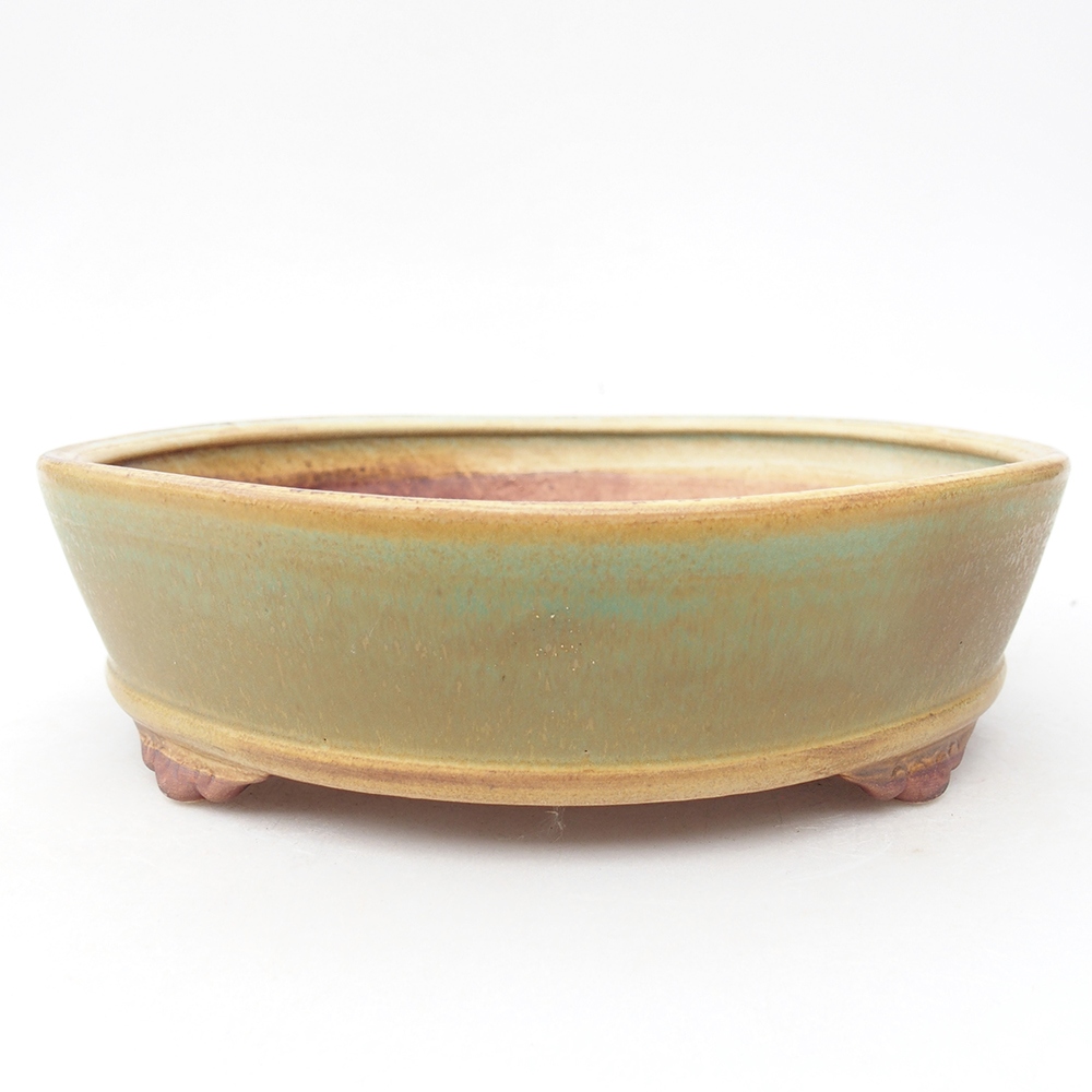 Keramik-Bonsaischale 21,5 x 21,5 x 6 cm, Farbe Grün