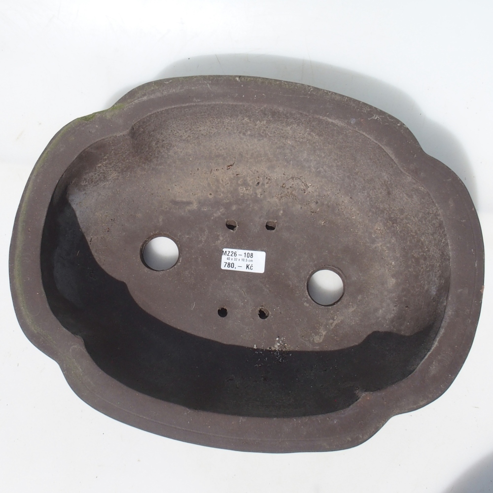 Bonsaischale 40 x 32 x 10,5 cm Birke braun