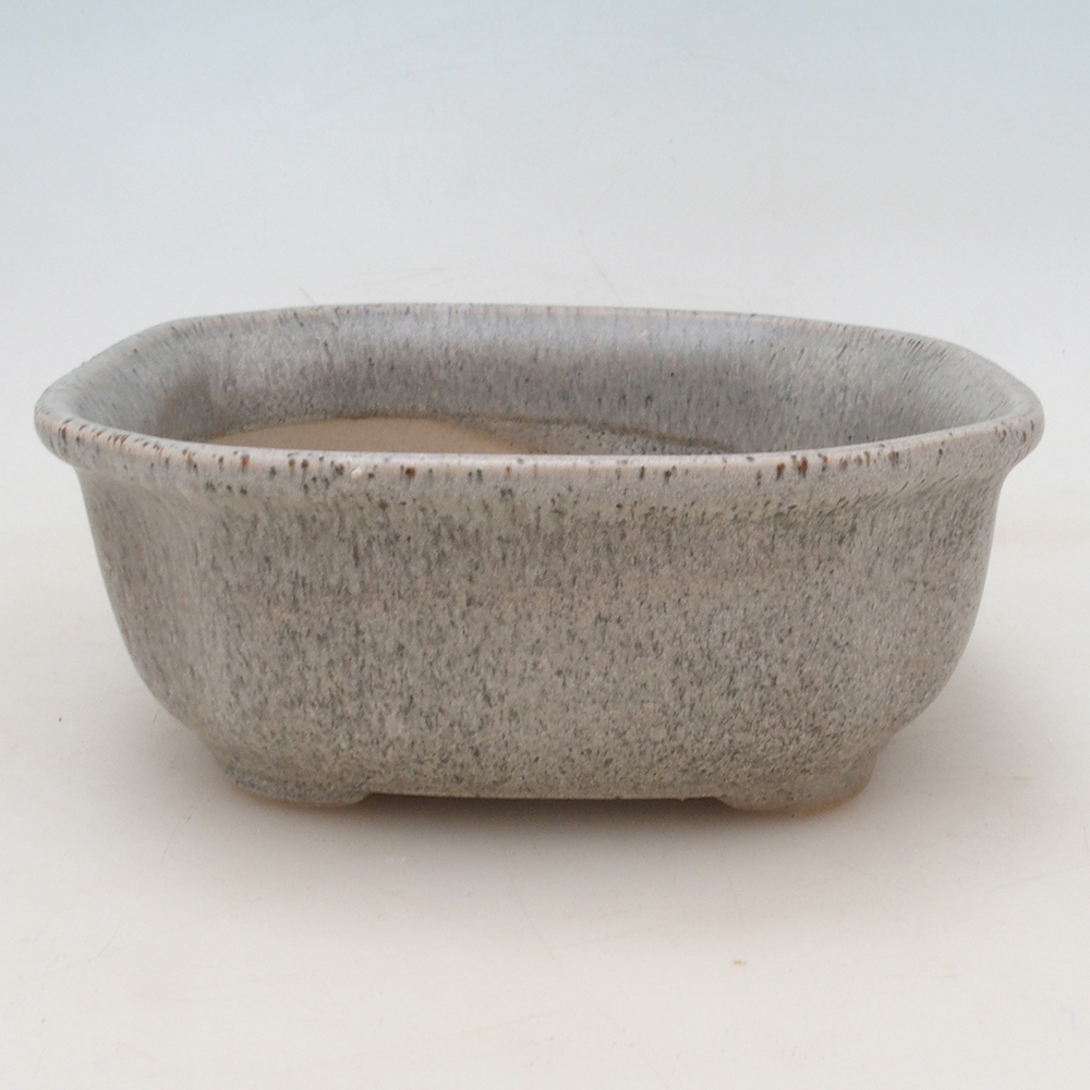 Bonsai-Schale + Untertasse H31 – Beige