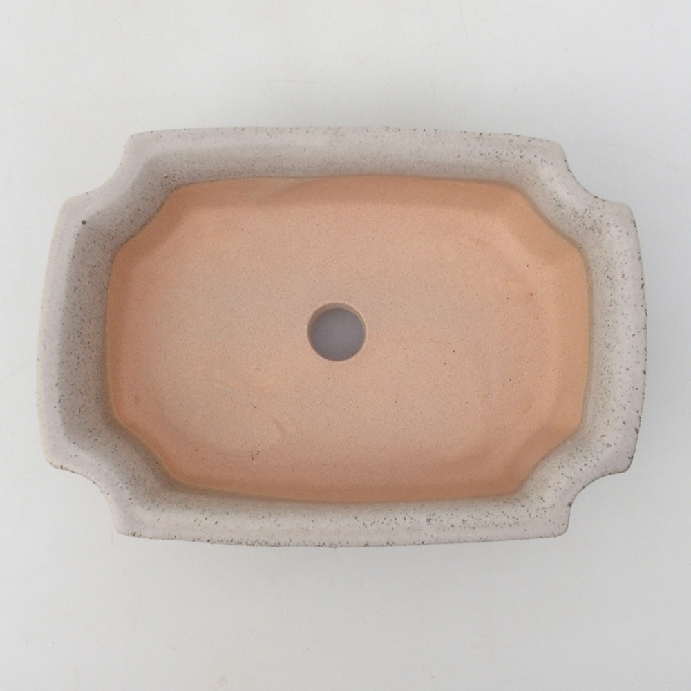Bonsai-Schale H17 – 15 x 10 x 4 cm – beige