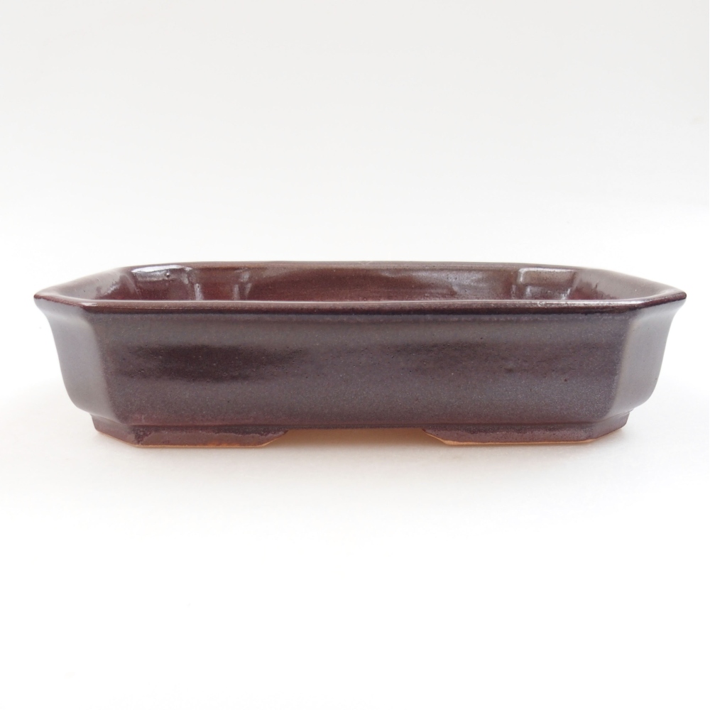 Keramik-Bonsaischale 19 x 13,5 x 4,5 cm, Farbe braun