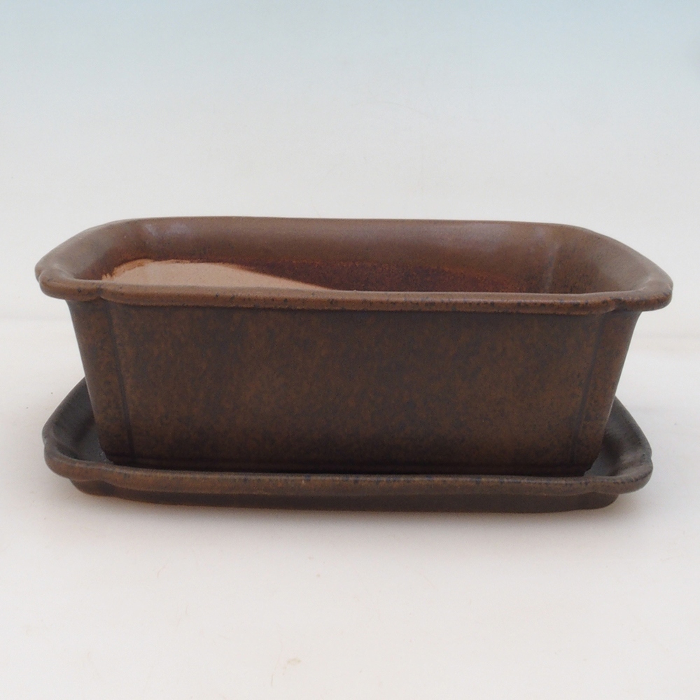 Bonsai-Schale + Untertasse H50 - braun