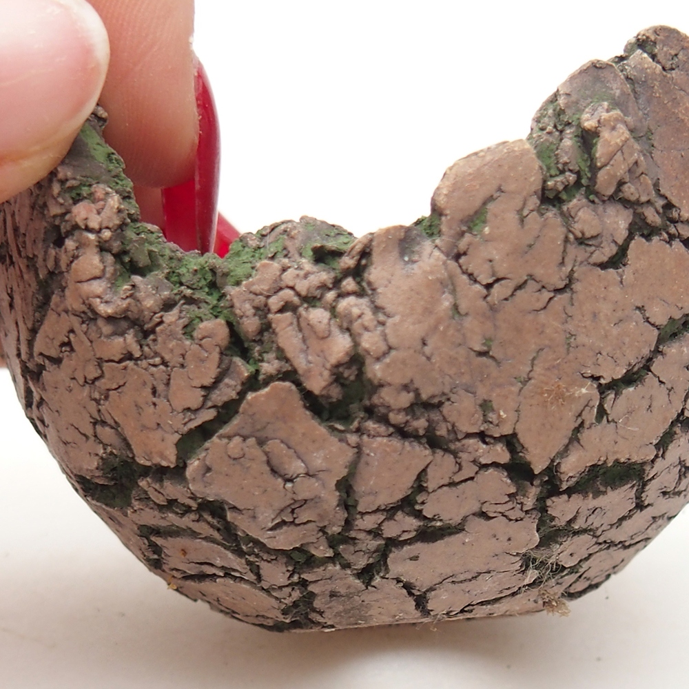 Keramische Muschel 7 x 6 x 5 cm , Farbe grün