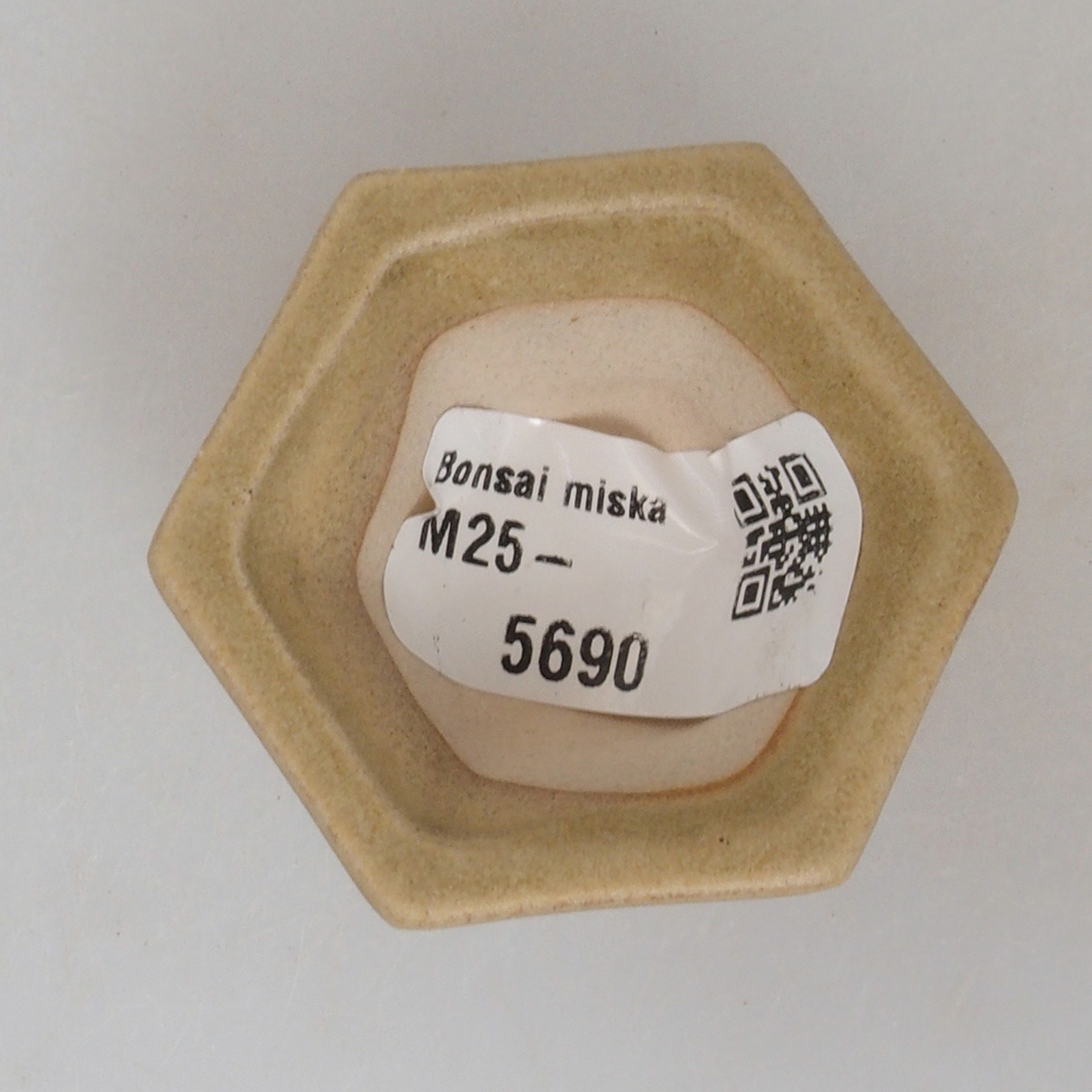 Mini-Bonsaischale 4,5 x 4,5 x 2,5  cm, Farbe braun