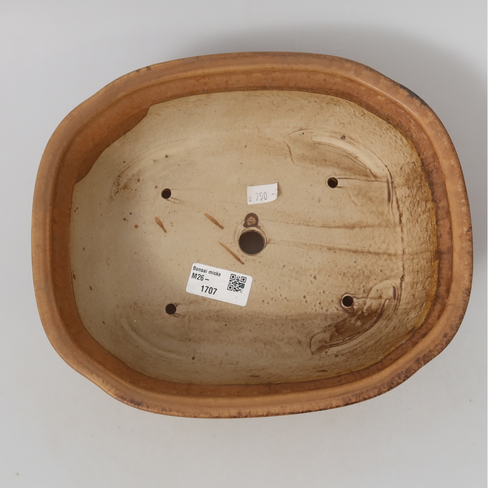 Keramik-Bonsai-Schale, 25 × 21,5 × 7,5 cm, Farbe: Rosa