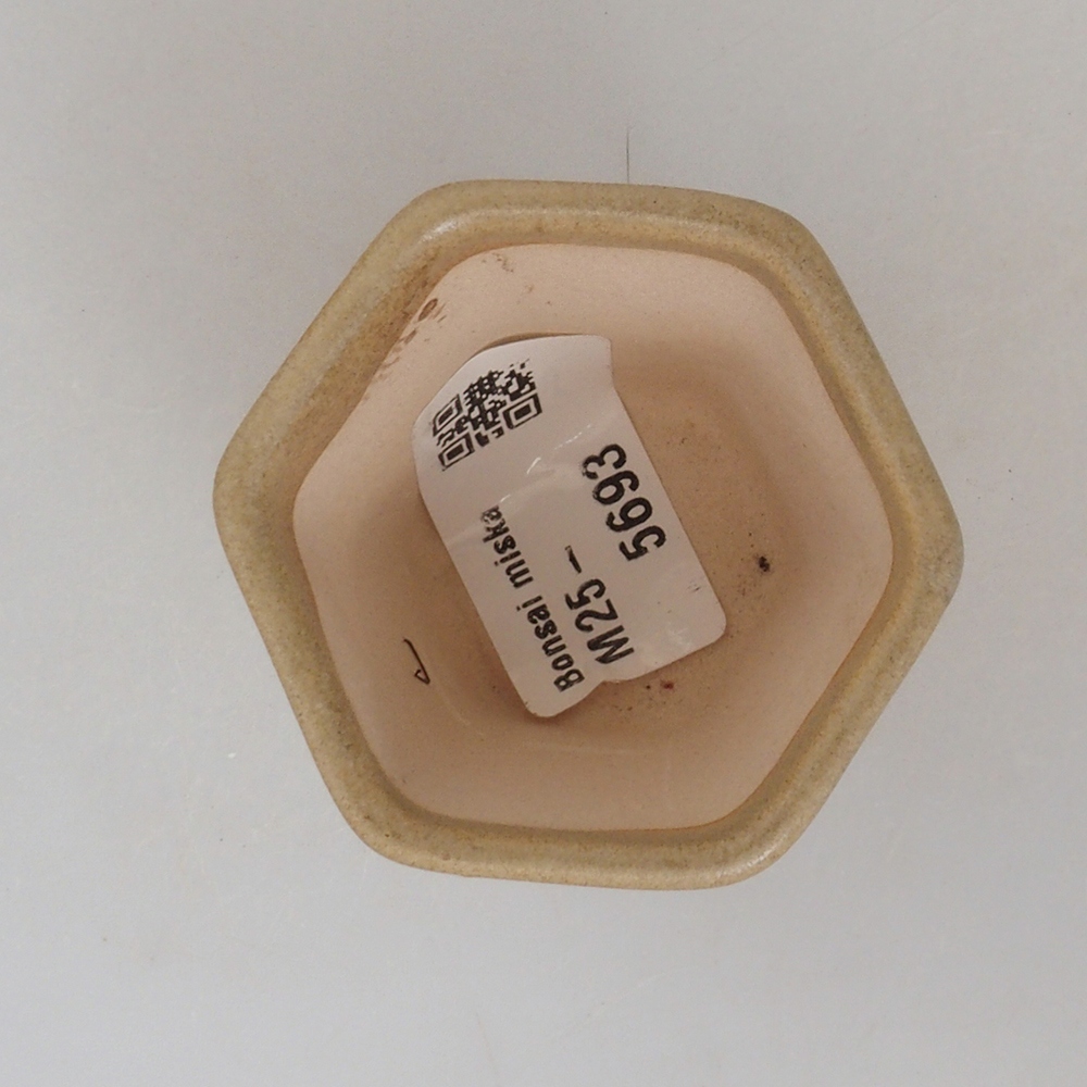 Mini-Bonsaischale 5 x 5 x 5  cm, Farbe braun