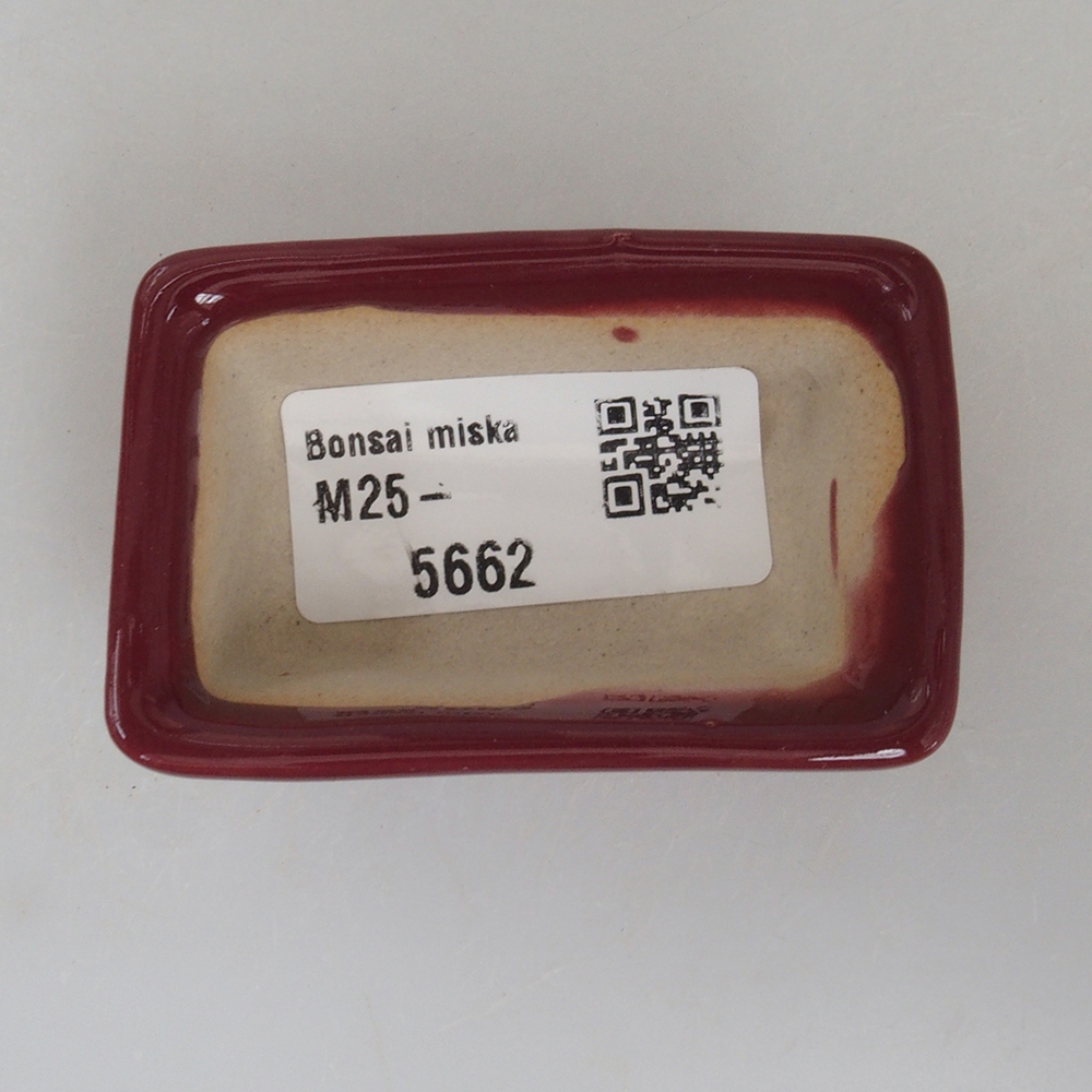 Mini-Bonsaischale 6 x 4 x 2,5 cm, Farbe Burgunder