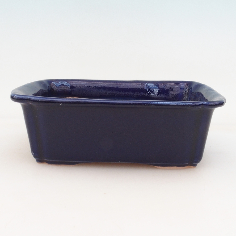 Bonsai-Schale + Untertasse H50 – blau