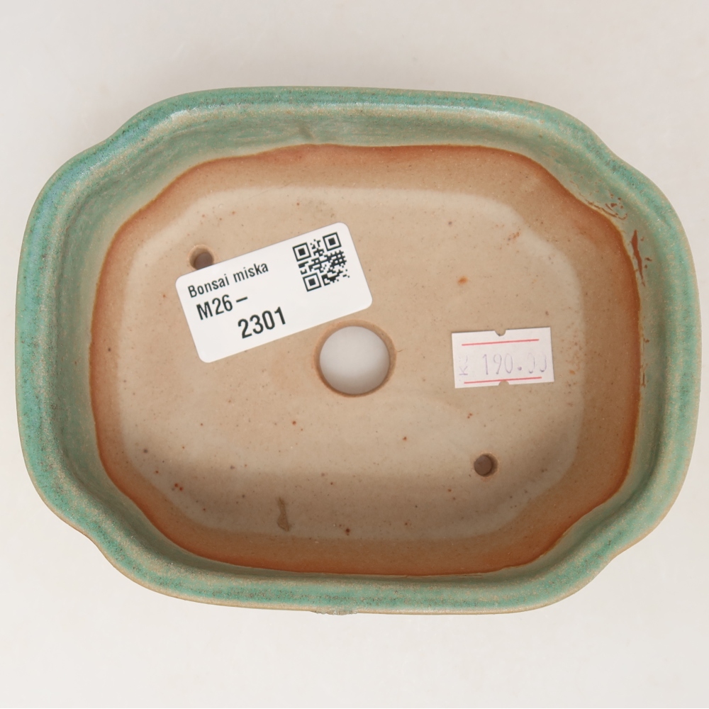 Keramik-Bonsai-Schale, 12,5 × 10 × 4,5 cm, Farbe: grün