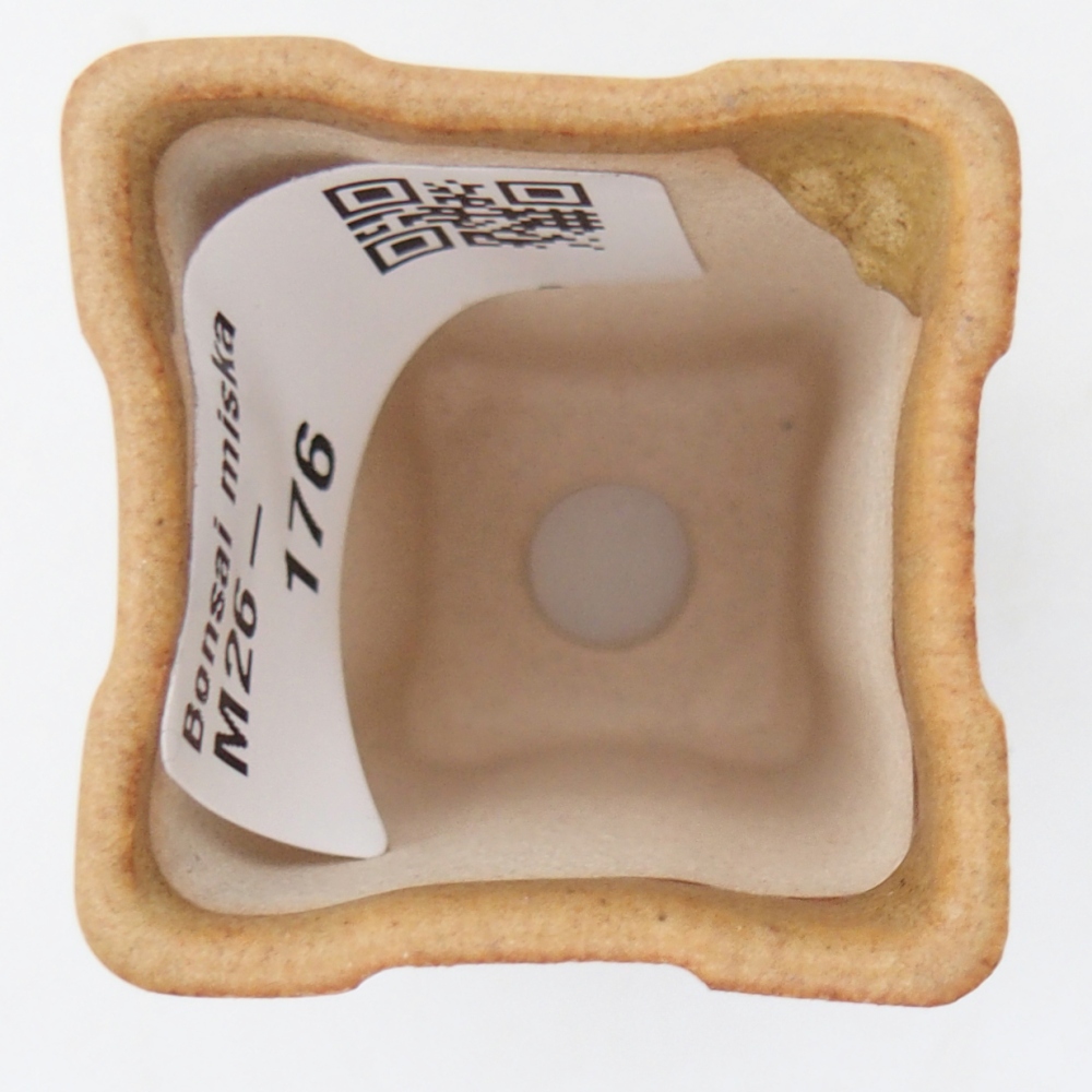 Mini-Bonsaischale 3,5 x 3,5 x 5,5 cm, braun