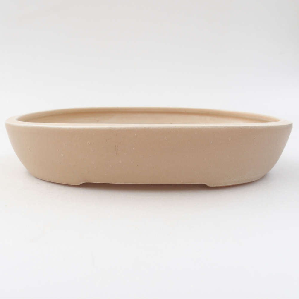 Keramik-Bonsaischale 22 x 17 x 4 cm, Farbe beige