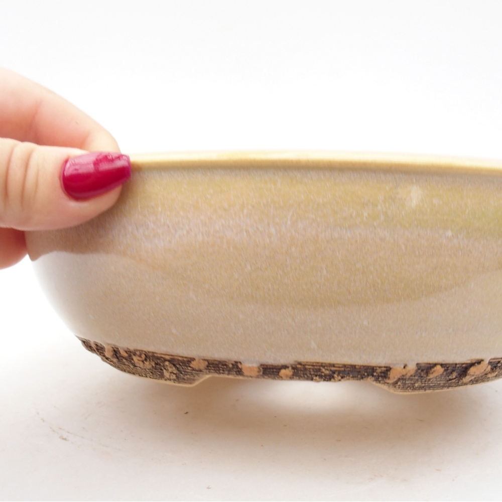 Keramik-Bonsaischale 19,5 x 19,5 x 6 cm, Farbe Beige