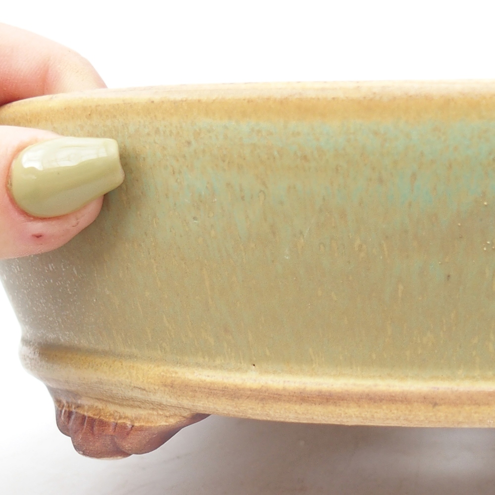 Keramik-Bonsaischale 21,5 x 21,5 x 6 cm, Farbe Grün