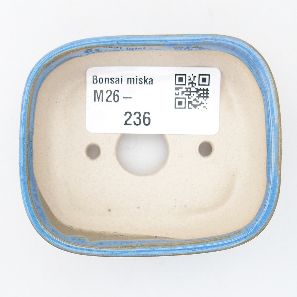 Mini-Bonsaischale 7 x 6 x 2,5 cm, Farbe blau