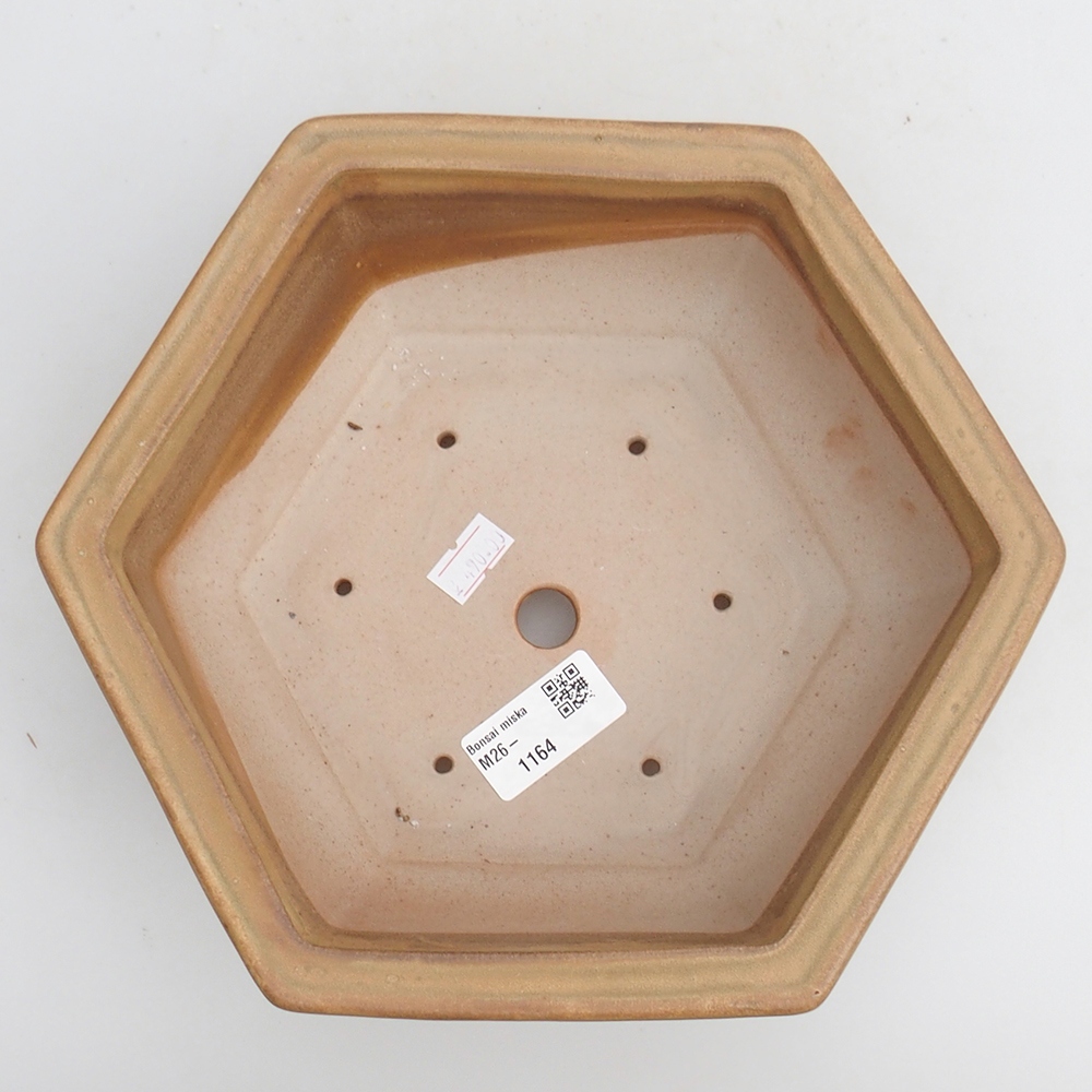 Bonsaischale aus Keramik 23 x 21 x 7,5 cm, Farbe beige