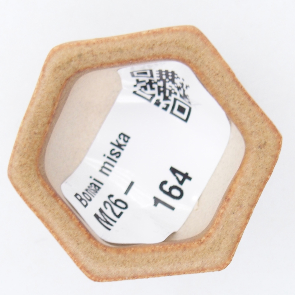 Mini-Bonsaischale 4 x 3,5 x 2 cm, braun