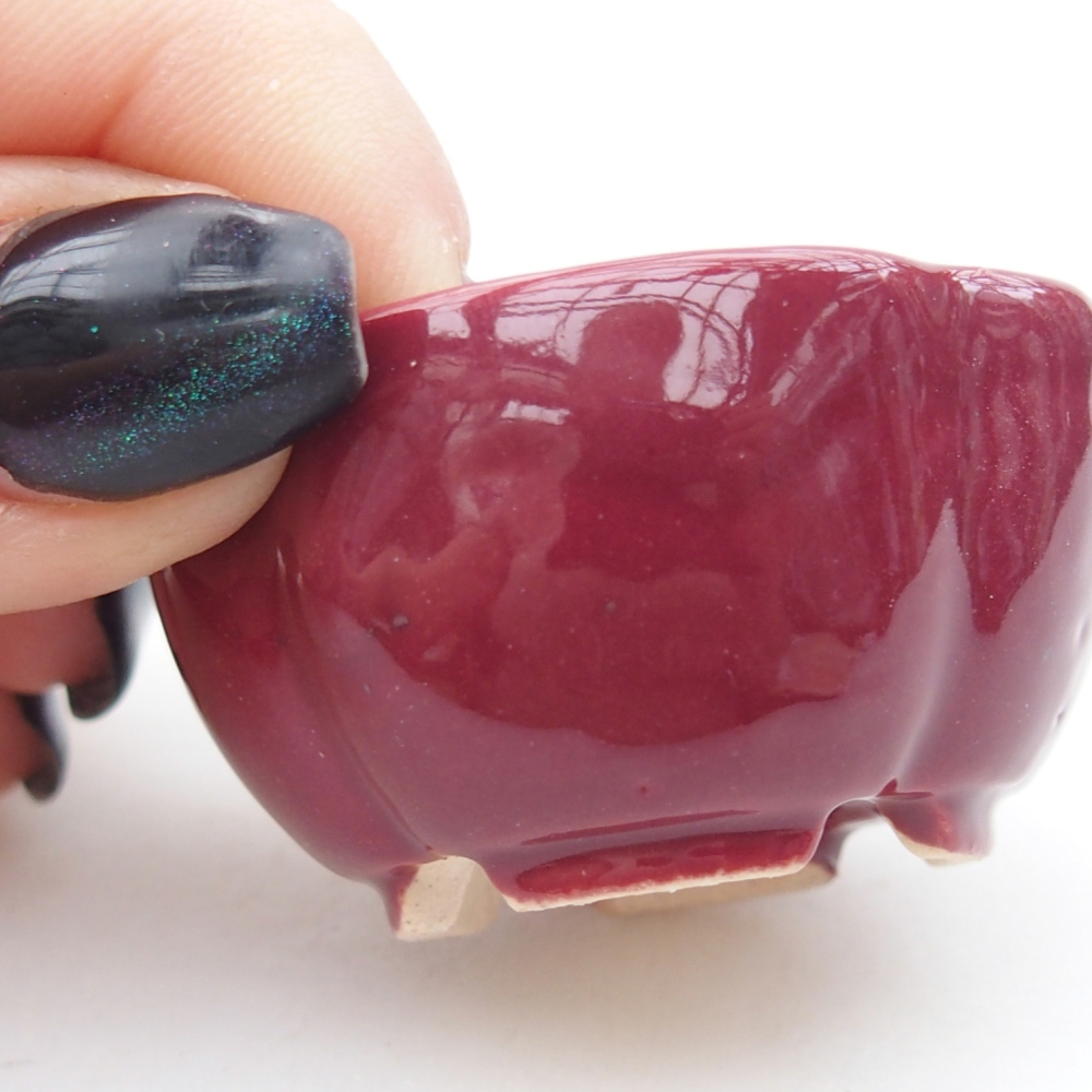 Mini-Bonsaischale 4 x 4 x 2 cm, bordeauxrot