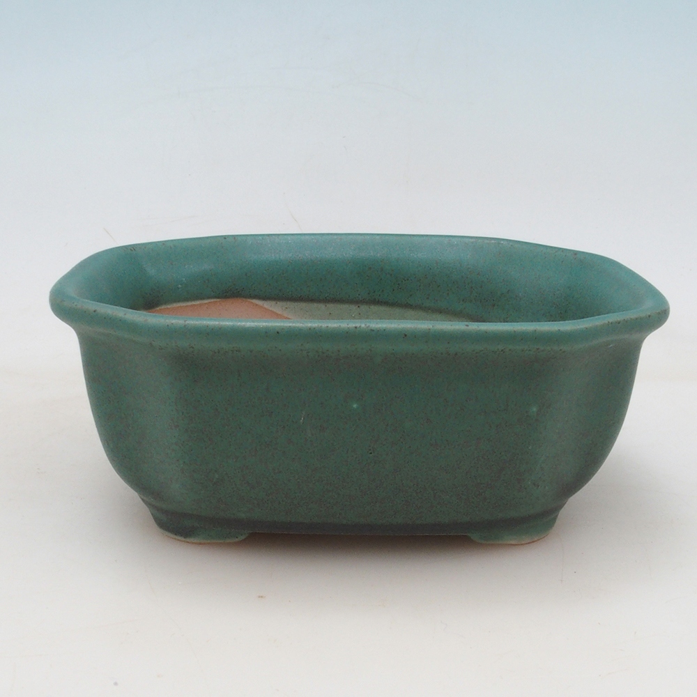 Bonsai-Schale + Untertasse H31 – Grün