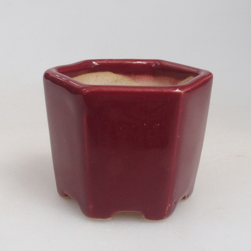 Mini-Bonsaischale 4 x 4 x 3,5 cm, Farbe Burgunder