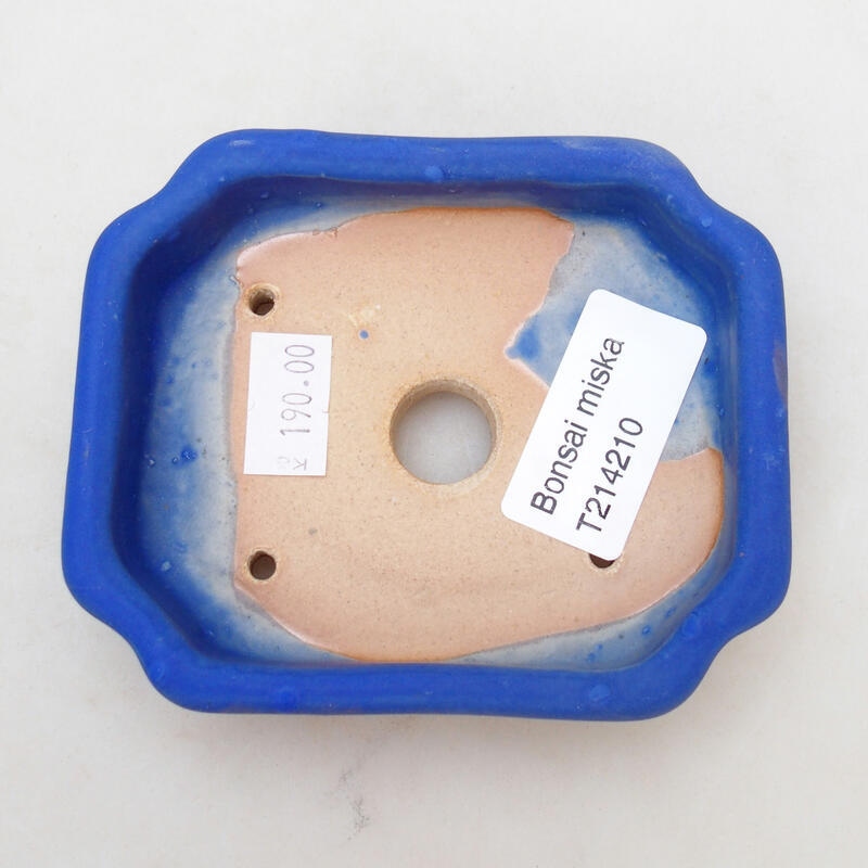 Bonsaischale aus Keramik 10 x 8 x 2,5 cm, Farbe blau