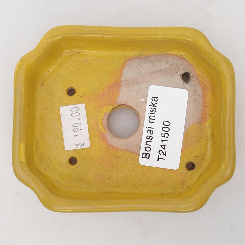 Keramik-Bonsaischale 10 x 8 x 2 cm, Farbe gelb