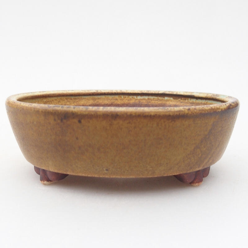 Bonsaischale aus Keramik 12,5 x 10 x 4 cm, Farbe grün