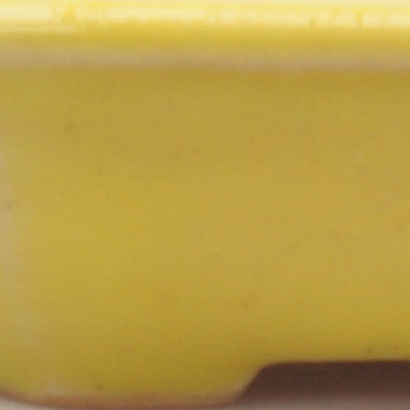 Keramik-Bonsaischale 12,5 x 11,5 x 2 cm, Farbe gelb