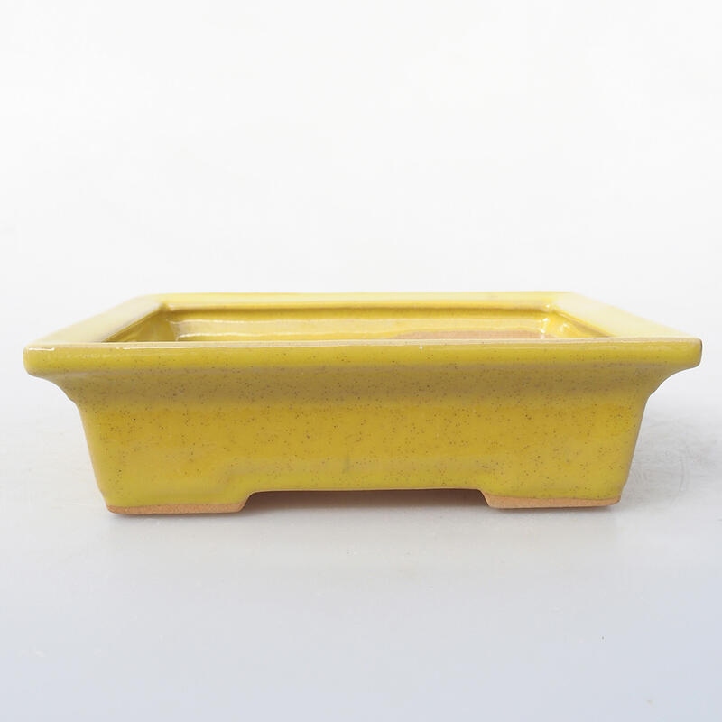 Keramik-Bonsaischale 13 x 10 x 3,5 cm, Farbe gelb