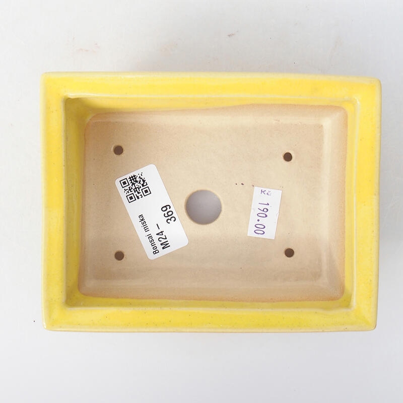 Keramik-Bonsaischale 13 x 10 x 3,5 cm, Farbe gelb