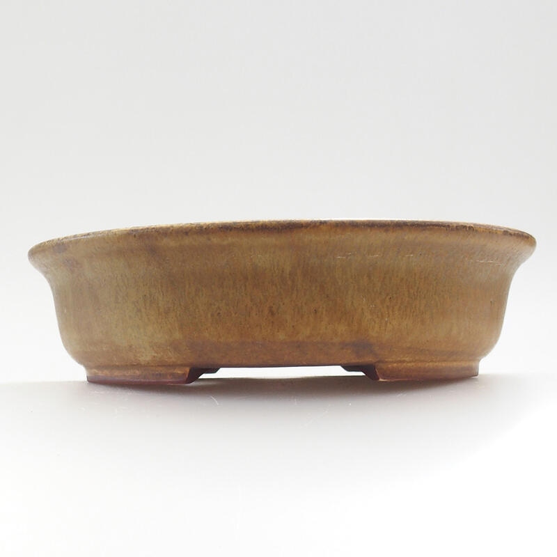 Keramik-Bonsaischale 14 x 13 x 4 cm, Farbe grün