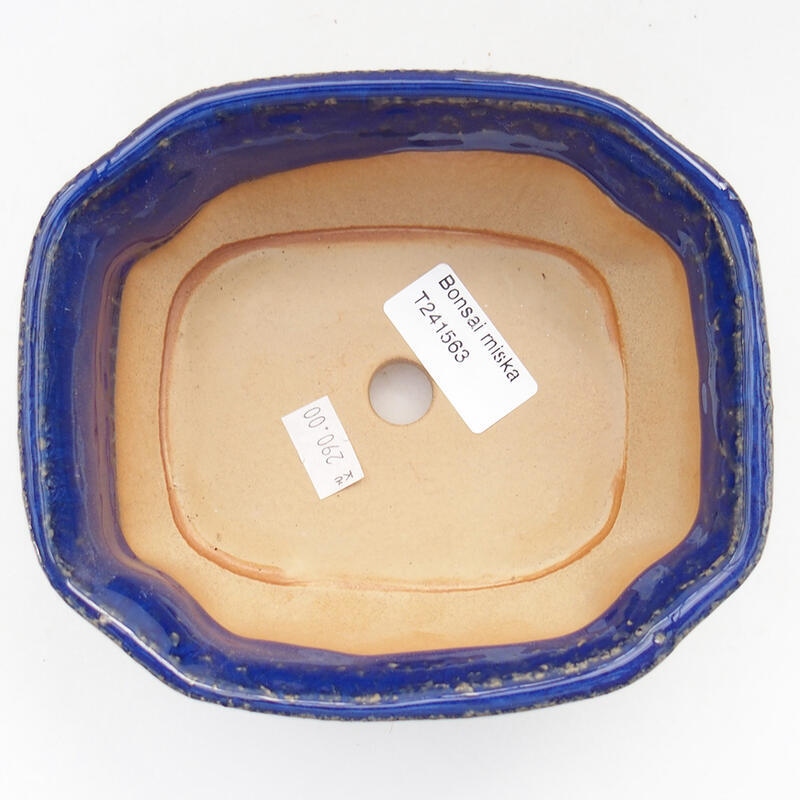 Keramik-Bonsaischale 15 x 12,5 x 6,5 cm, Farbe Blau