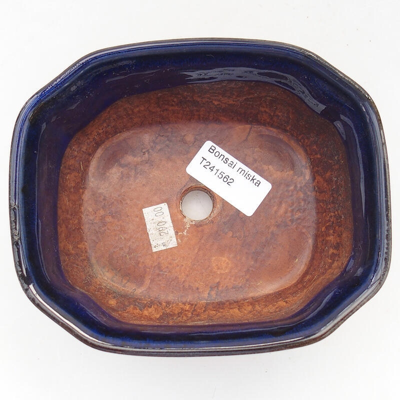 Keramik-Bonsaischale 15 x 12,5 x 6,5 cm, Farbe Blau