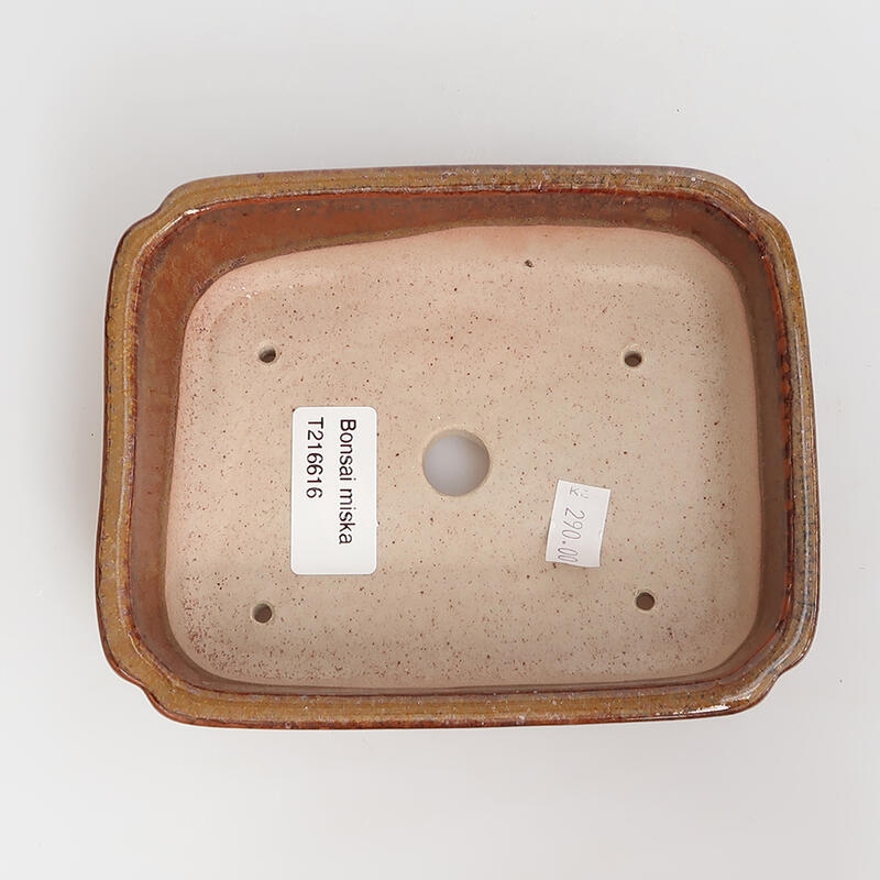 Bonsaischale aus Keramik 15 x 12 x 4 cm, Farbe braun