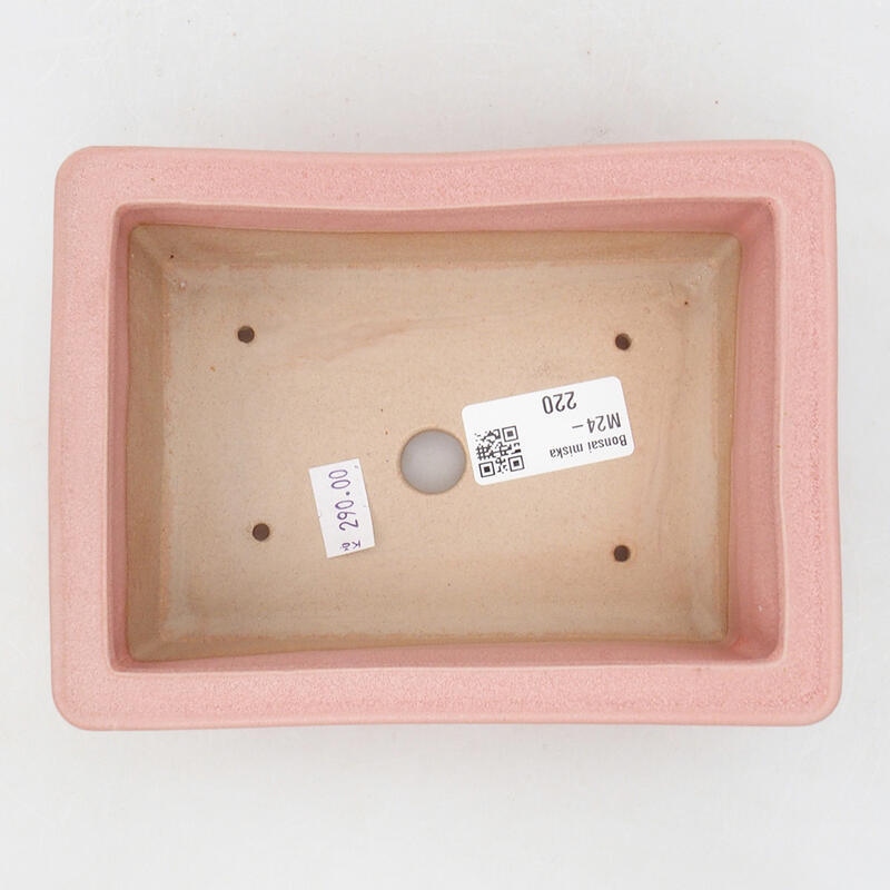 Keramik-Bonsaischale 16 x 12 x 5,5 cm, Farbe rosa