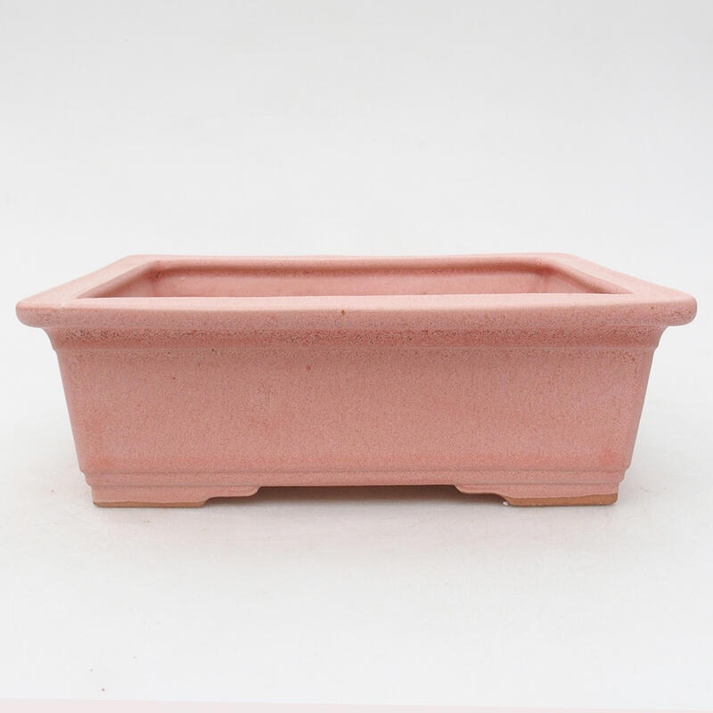 Keramik-Bonsaischale 16 x 12 x 5,5 cm, Farbe rosa