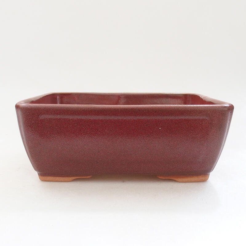 Keramik-Bonsaischale 16 x 12 x 6 cm, Weinfarbe