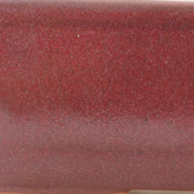 Keramik-Bonsaischale 16 x 12 x 6 cm, Weinfarbe
