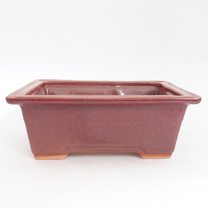 Keramik-Bonsaischale 16 x 12 x 6 cm, Weinfarbe